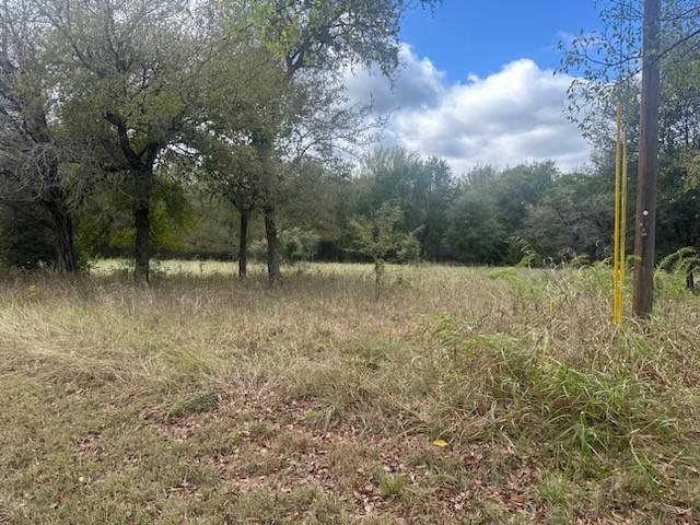 White Bluff #1 - Land