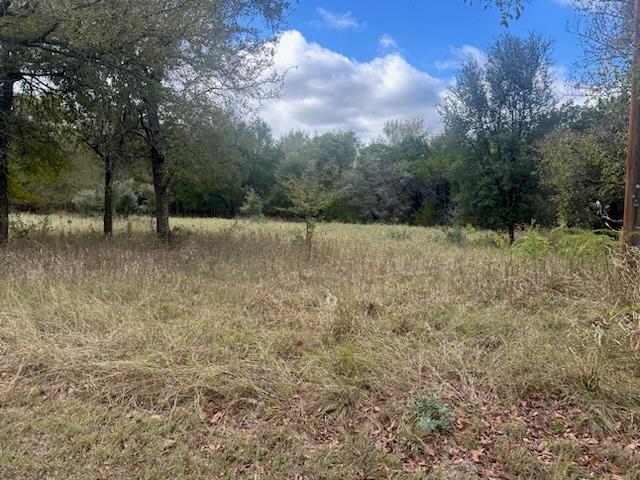 White Bluff #1 - Land