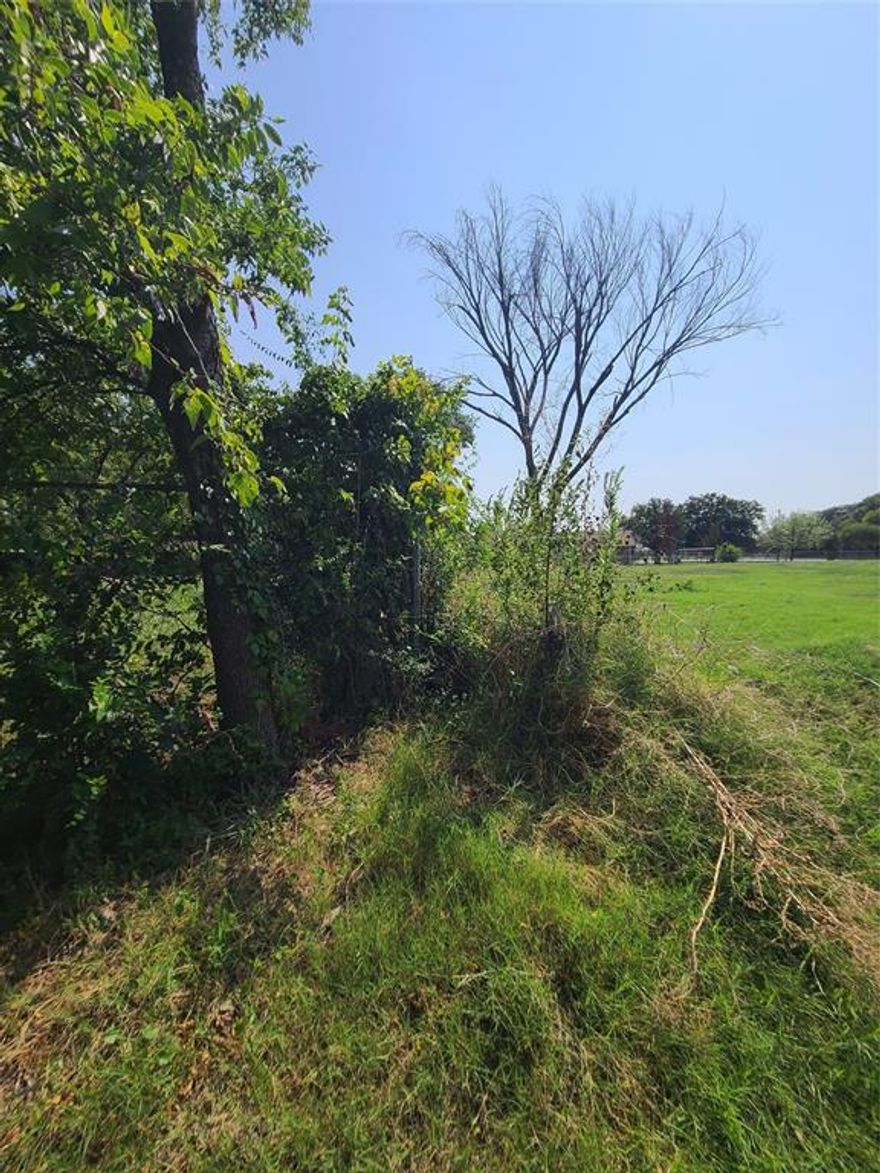 Convenient to Loop 12 and 30 Fwy. Great opportunity to own couple prime land lots. Sale prices include lot 30 & 31 as a package deal. Combine lots of dimensions 50 x 115.