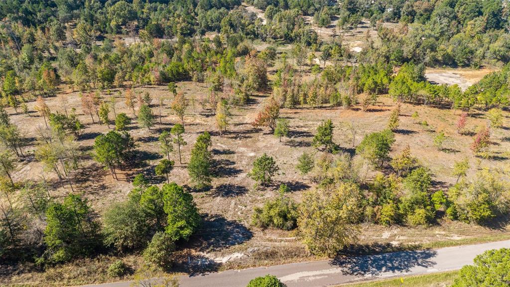 A100972 - A0972 J TILDEN - Land