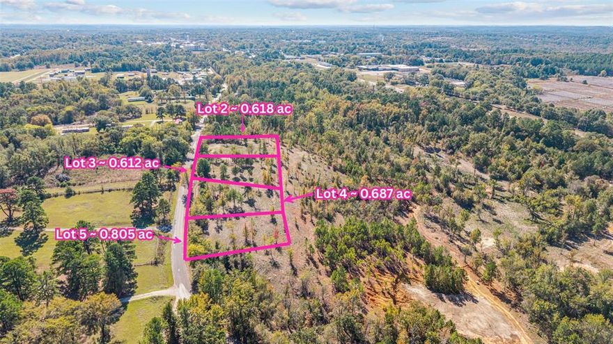 Nestled in the heart of Lindale, this beautiful parcel of land offers just over half an acre of opportunity and charm. Set in a peaceful East Texas setting, the property combines a sense of country tranquility with convenient access to town amenities. Just a few blocks from the hustle and bustle of downtown Lindale for restaurants, live music, festivals, and parks! Whether you’re envisioning your forever home, a cozy retreat, or a custom build surrounded by nature, this land provides the perfect blank canvas to bring your vision to life.

With plenty of space for a spacious yard, garden, or outdoor entertaining area, you’ll have room to create the lifestyle you’ve been dreaming of. Located within the highly sought-after Lindale ISD and just minutes from shopping, dining, and easy access to I-20, this property brings the best of small-town living and modern convenience together in one perfect place.