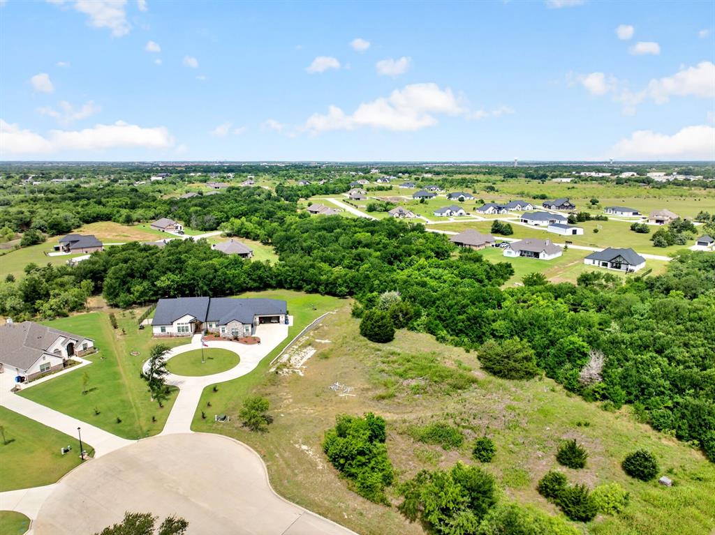 4174 weeping oak