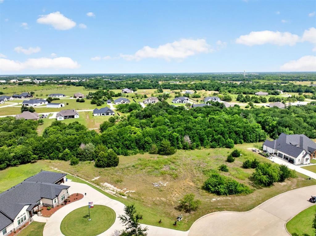 4174 weeping oak