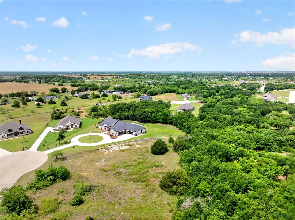 4174 weeping oak