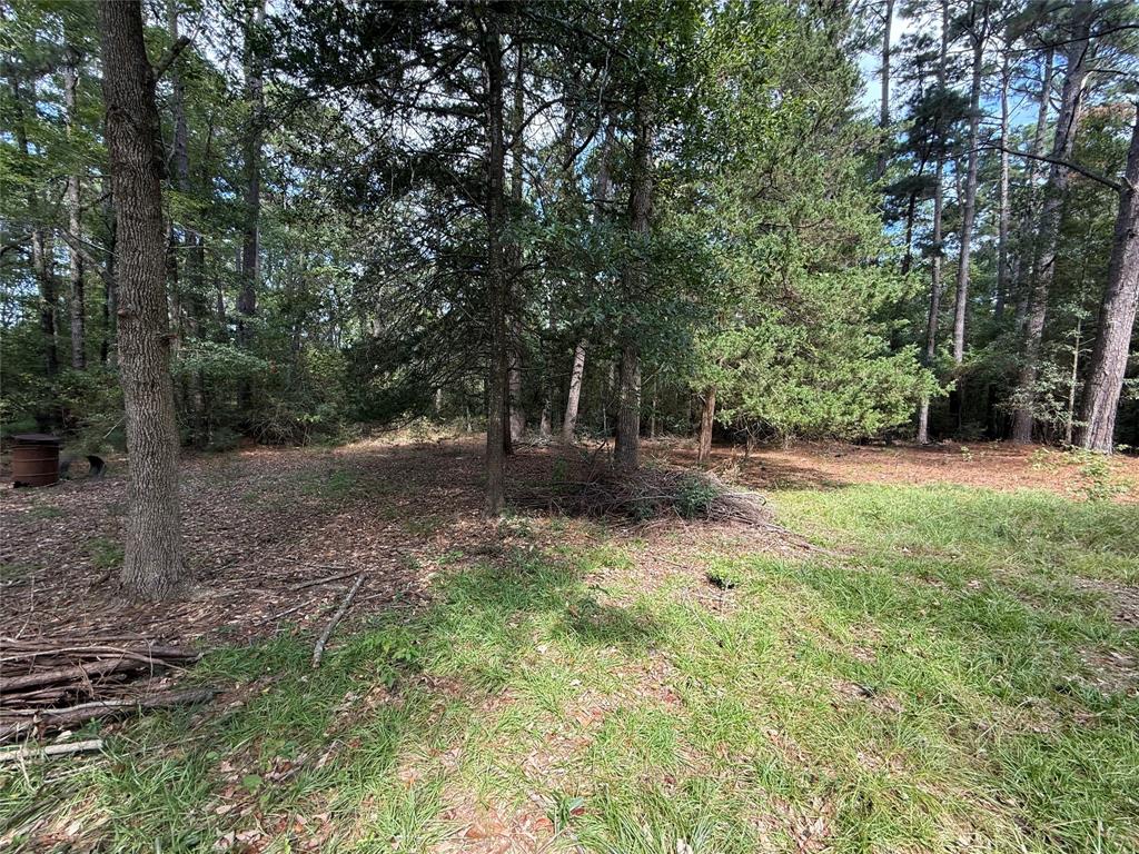 Minden, Louisiana 71055, United States, 3 Bedrooms Bedrooms, ,2 BathroomsBathrooms,Residential,Contingent,220802