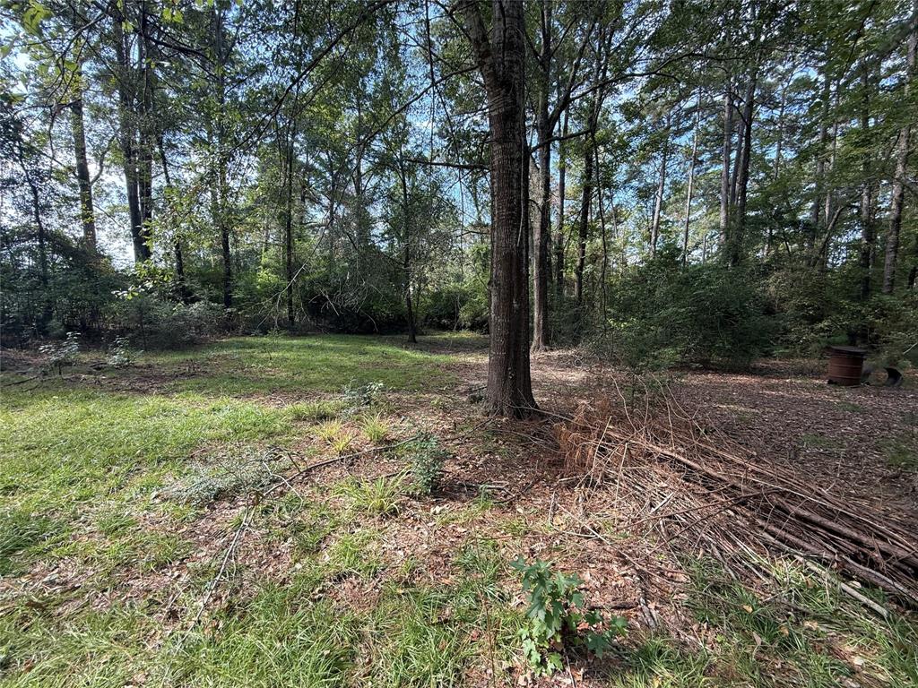 Minden, Louisiana 71055, United States, 3 Bedrooms Bedrooms, ,2 BathroomsBathrooms,Residential,Contingent,220802