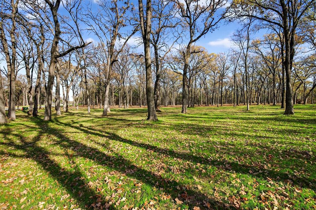 Spout Springs - Land