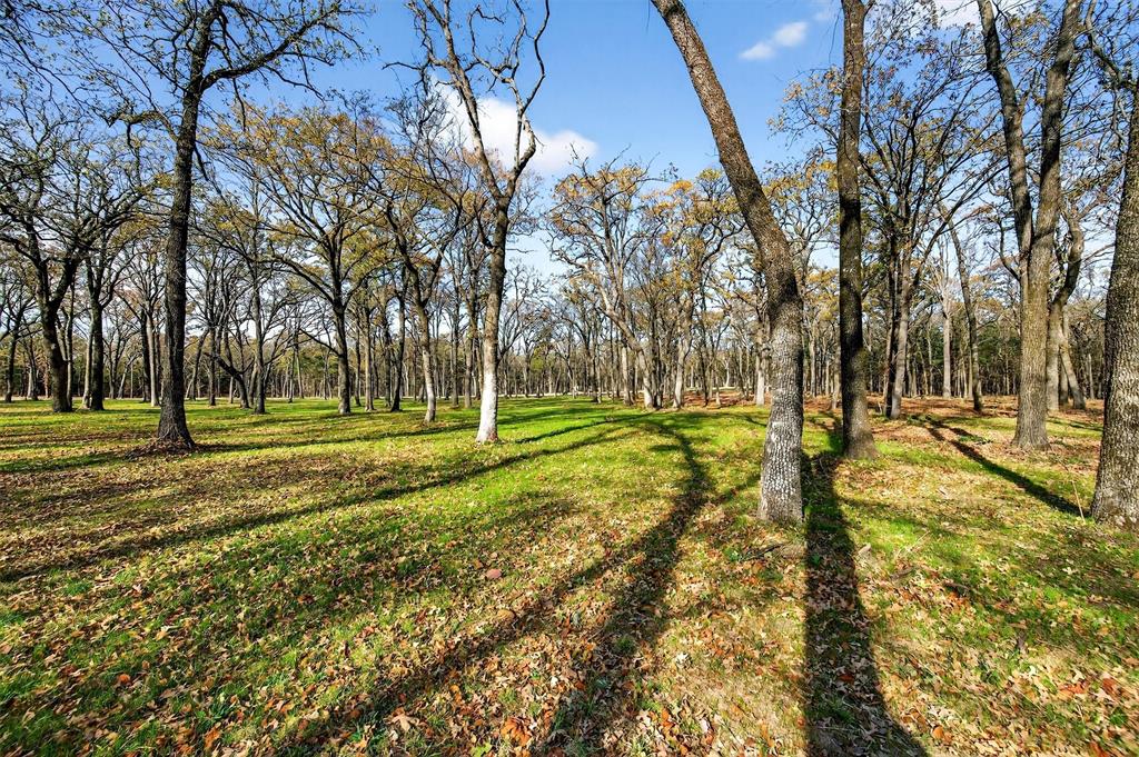 Spout Springs - Land