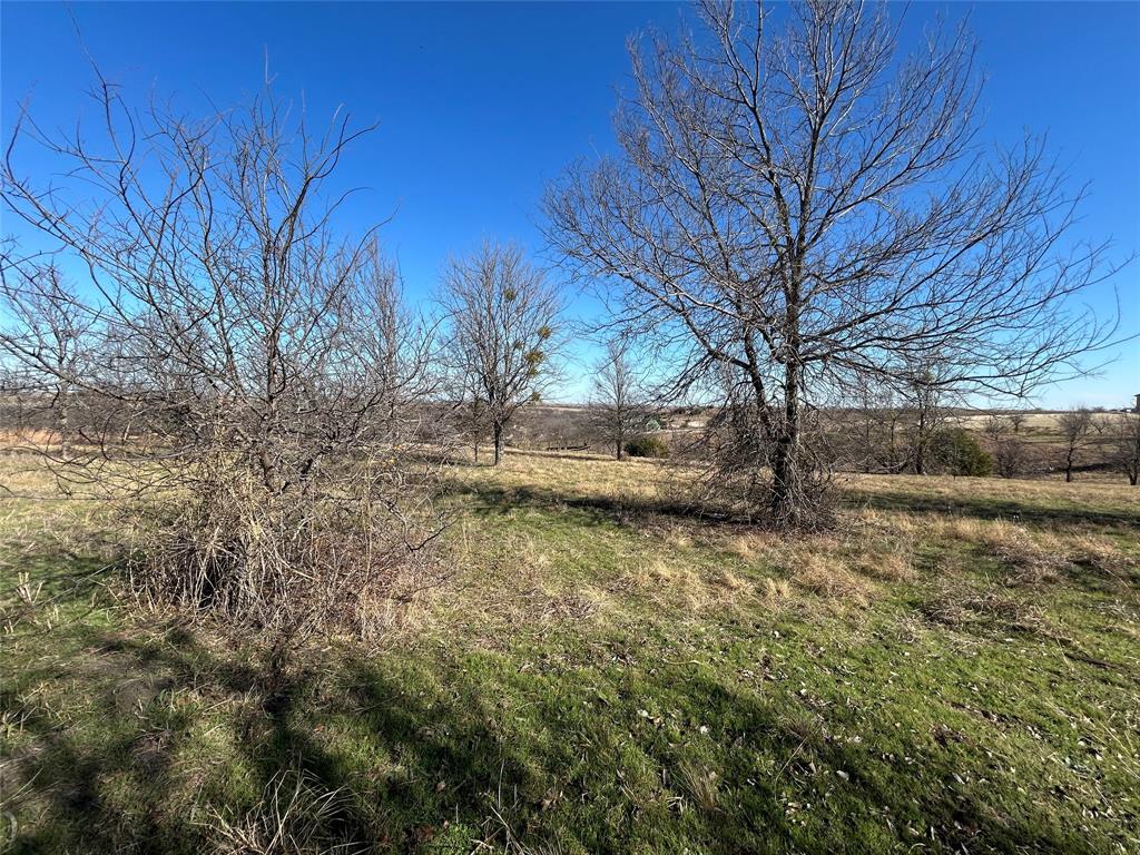 Bear Creek Ranch - Land