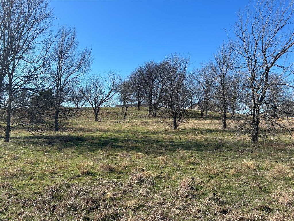 Bear Creek Ranch - Land