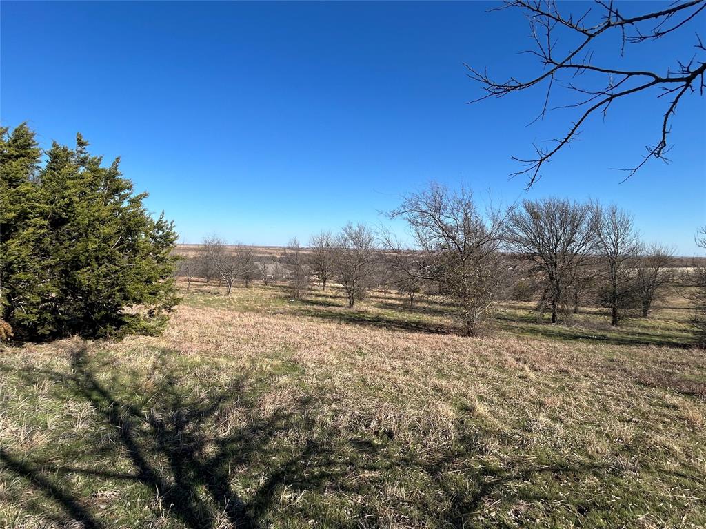 Bear Creek Ranch - Land