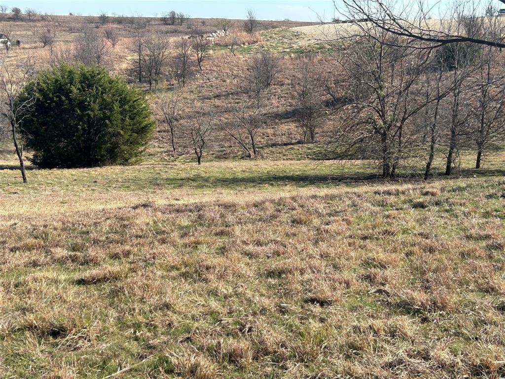 Bear Creek Ranch - Land