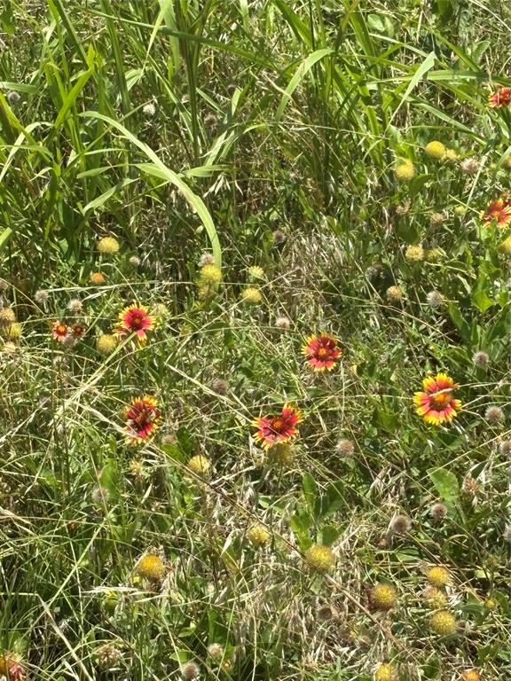 Lot 2 Chisholm Trail