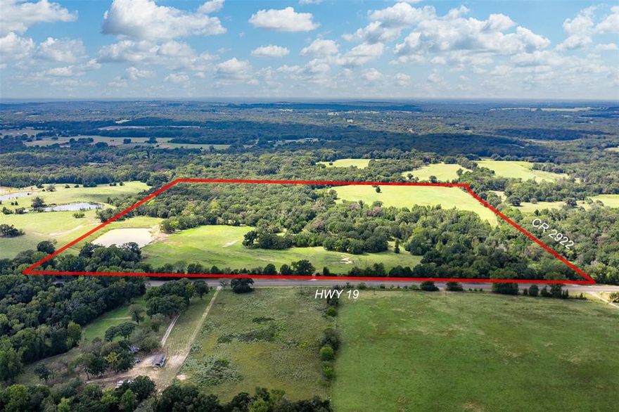 86.98 Acres with Endless Possibilities! 
Welcome to a rare opportunity along State Hwy 19, offering over 1,900 feet of highway frontage plus additional access along a county road. This nearly 87-acre property is the perfect blend of open pastureland and wooded areas, providing both versatility and natural beauty. The property features a large pond located near the front of the property, with a second smaller pond tucked away in the trees. Land is completely fenced and includes gated entry from both Hwy 19 and the county road. With its prime location and abundant road frontage, the opportunities here are truly endless. Whether you envision developing, creating an RV park, or building your dream home and enjoying the country lifestyle, this property is a canvas waiting for your vision. Don’t miss your chance to own a piece of land with so much potential!