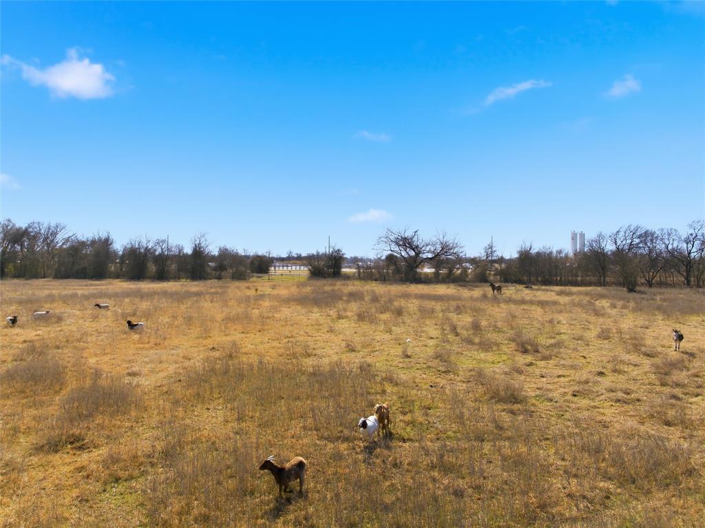 Tomas De La Vega - Residential