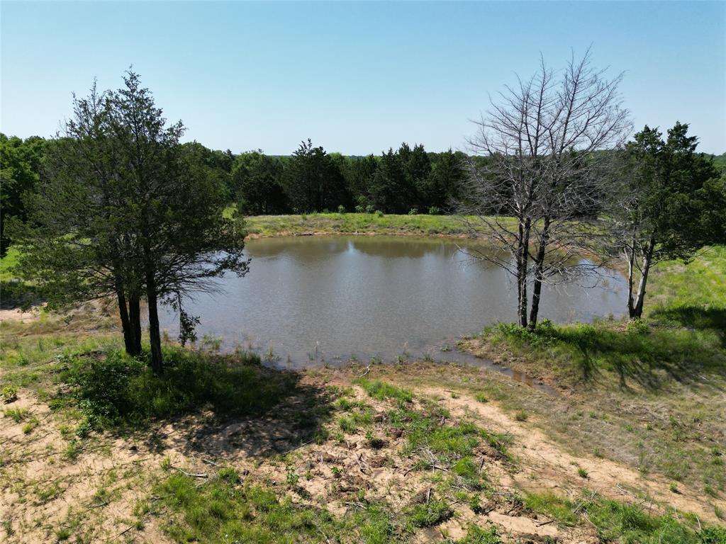 11.66 +/- Acres Stuckey Road