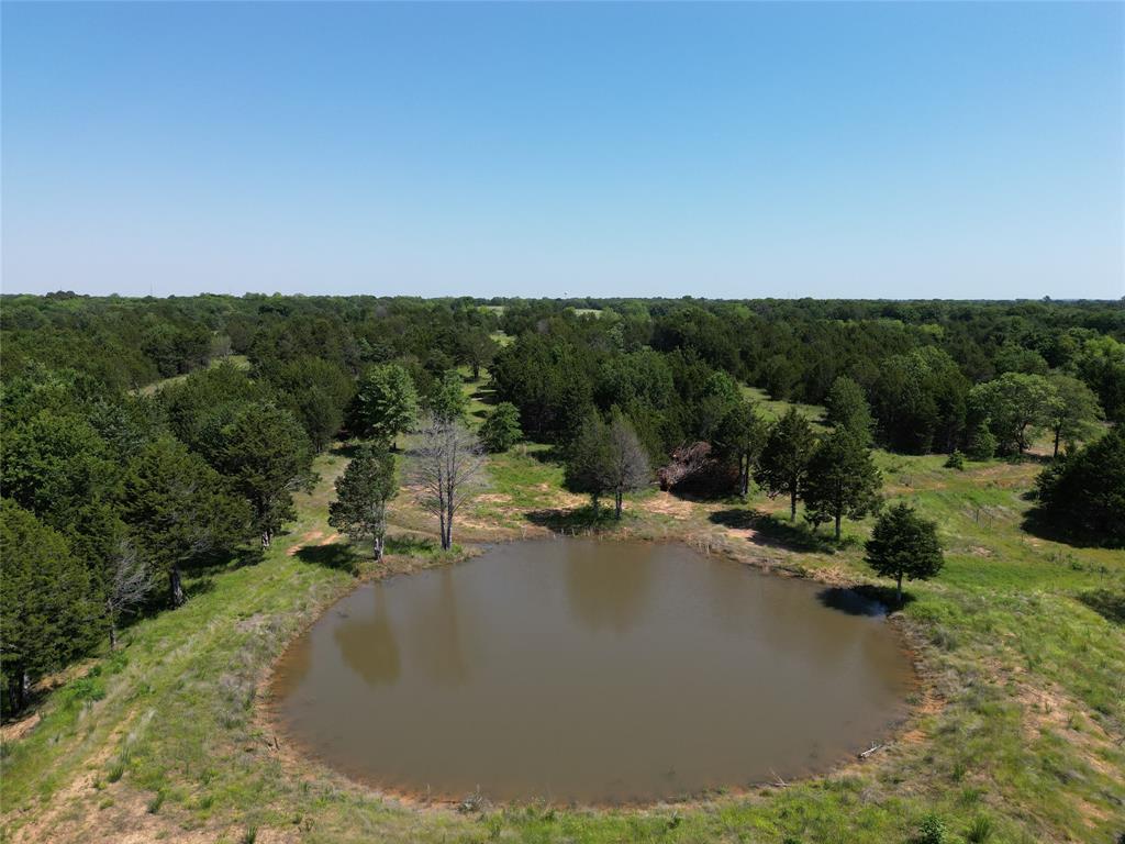 11.66 +/- Acres Stuckey Road