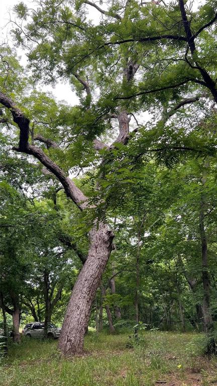 Pecan Valley-Rev - Land