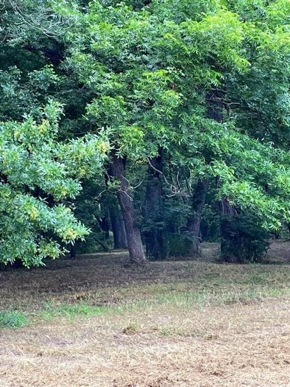 Pecan Valley-Rev - Land