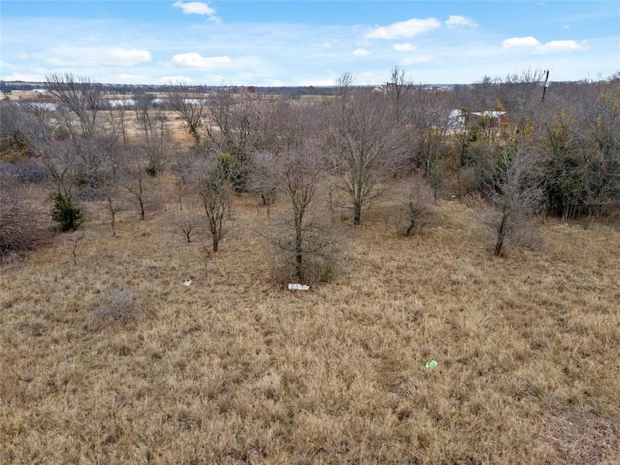 This quarter-acre parcel offers a rare opportunity to create your own space in a peaceful country setting. Situated just beyond Decatur city limits, the property provides the calm of rural living while remaining only about 10 minutes from schools, shopping, and everyday conveniences. The open land allows flexibility for future plans, including manufactured housing. Enjoy wide-open skies, scenic views of the surrounding countryside, and quiet nights filled with brilliant Texas stars. A great choice for those seeking simplicity, space, and the charm of small-town North Texas living.