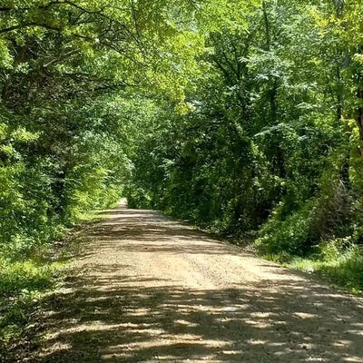 181 COUNTY RD 2425, COMO, TX 75431 - Image 8725effdfabfbcfe7c9387e47d096d1b/1971949740