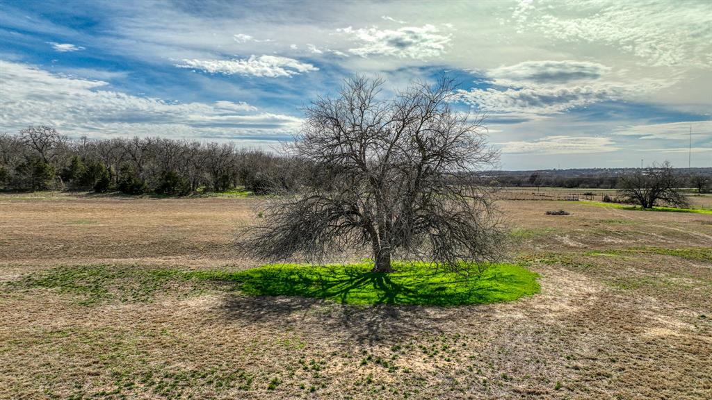 SURV: WM WOOSLEY - Land