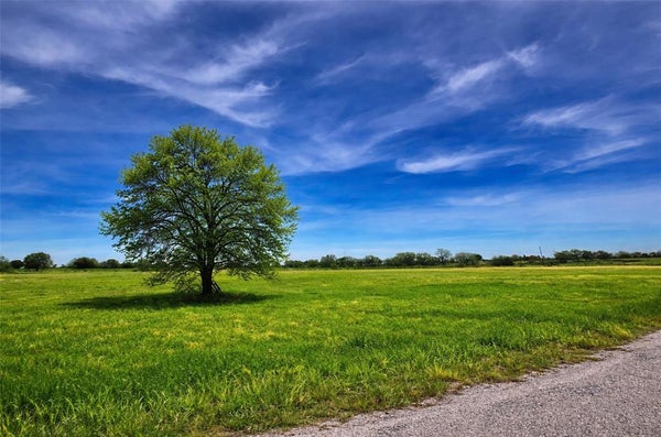 2619 FREEDOM CT, TOLAR, TX 76476 - Image 8759f53dbcb29aa28cd1047ef4ec5d1b/1725277697