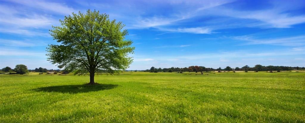 Rolled Stone Estates Ph 1 - Land