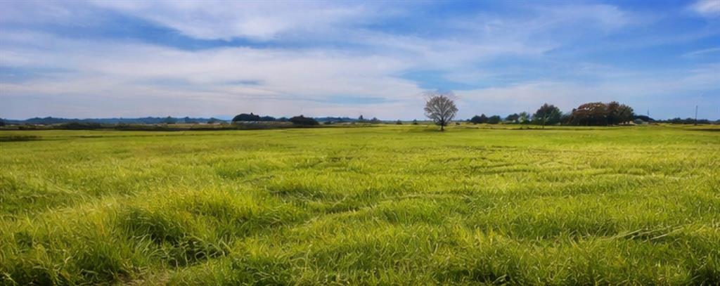 Rolled Stone Estates Ph 1 - Land