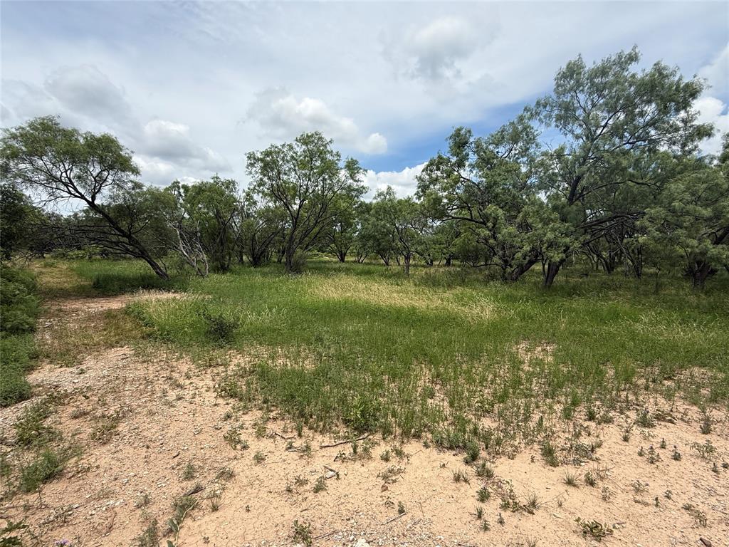 TBD Coppic Ranch Road