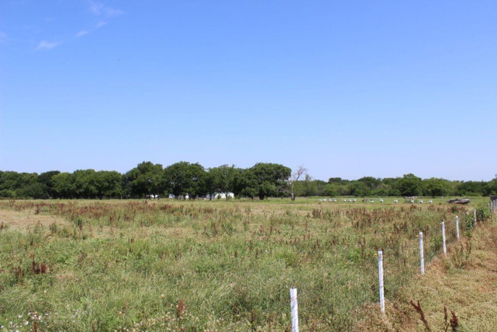 J Lessly Surv Abs #744 - Land