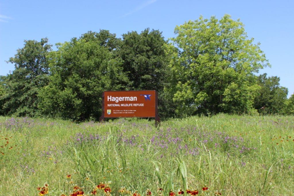 J Lessly Surv Abs #744 - Land