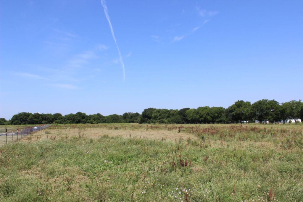 J Lessly Surv Abs #744 - Land