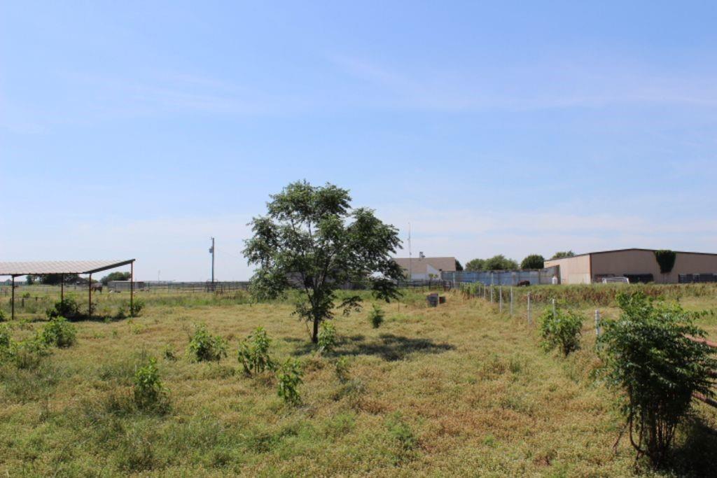 J Lessly Surv Abs #744 - Land