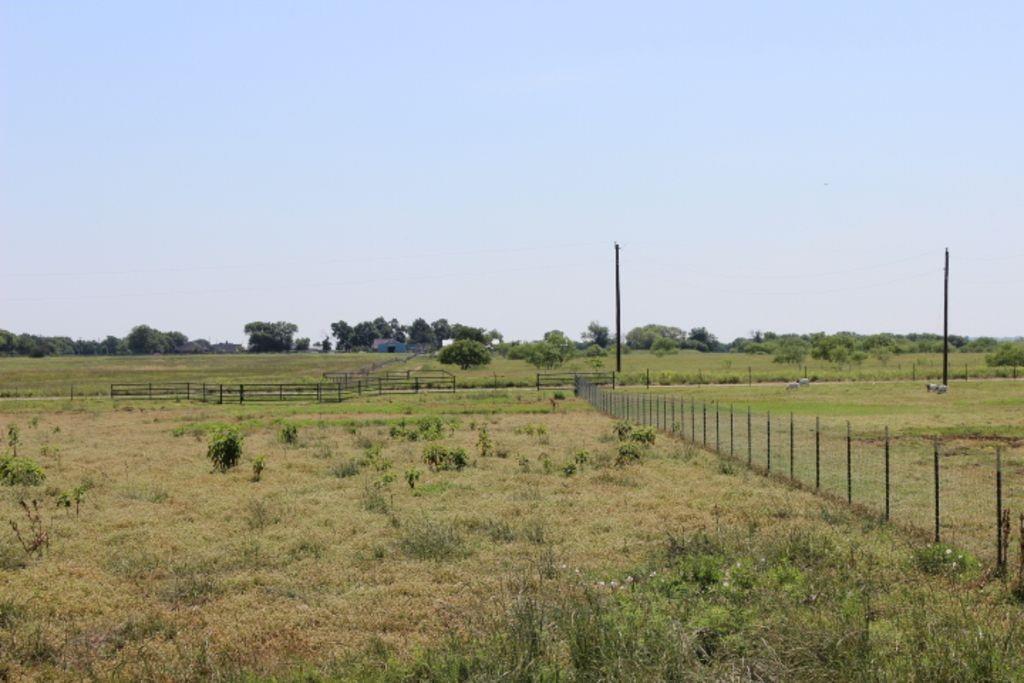 J Lessly Surv Abs #744 - Land