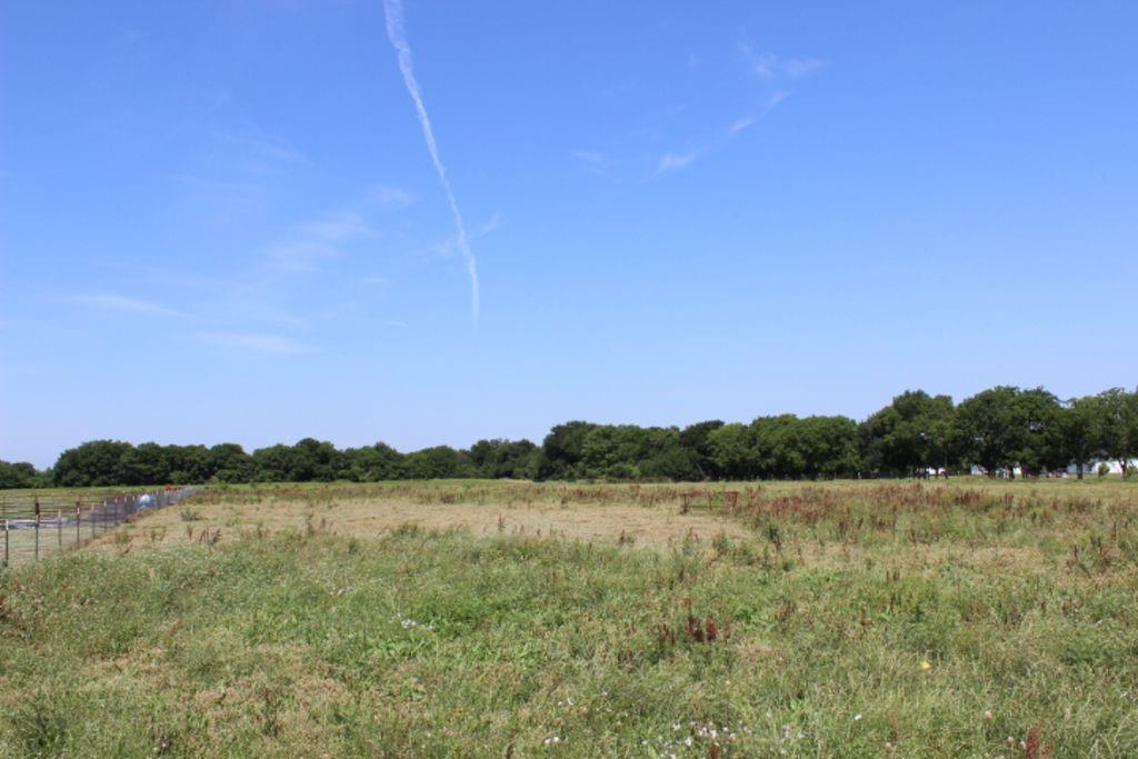 J Lessly Surv Abs #744 - Land