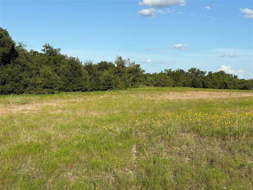 2652 FM 216