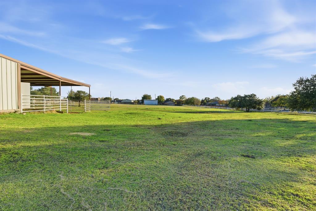 Buena Vista - Residential