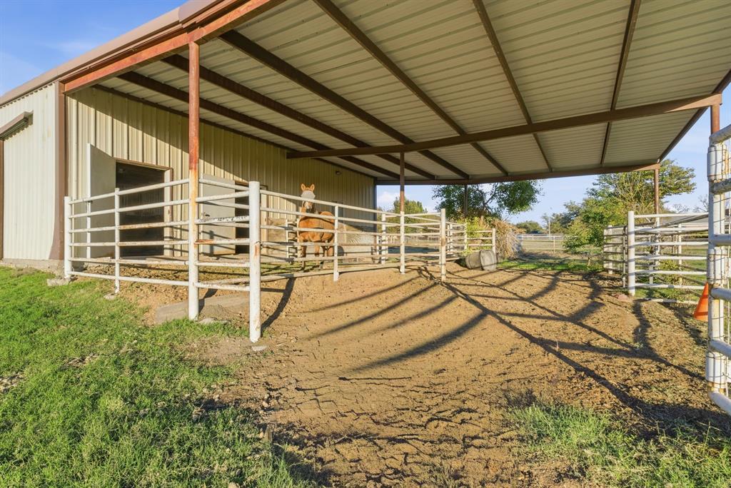 Buena Vista - Residential