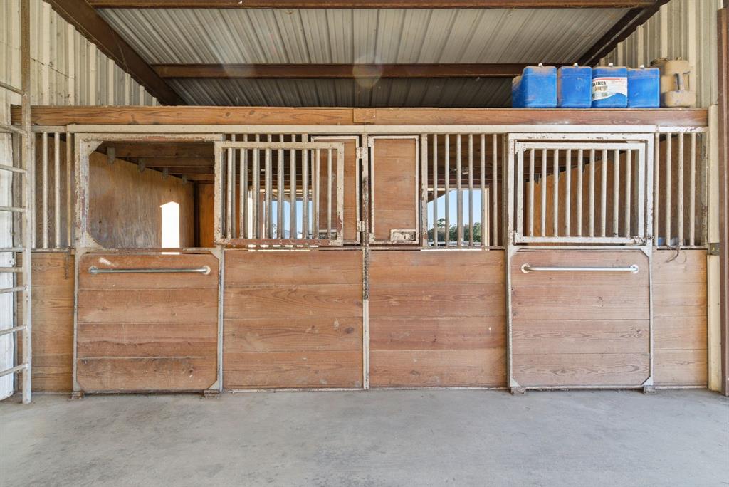 Buena Vista - Residential