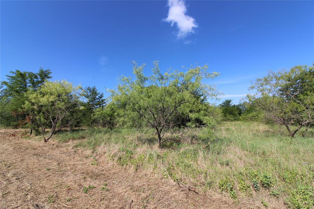 DAVID F WILLIAMS - Land