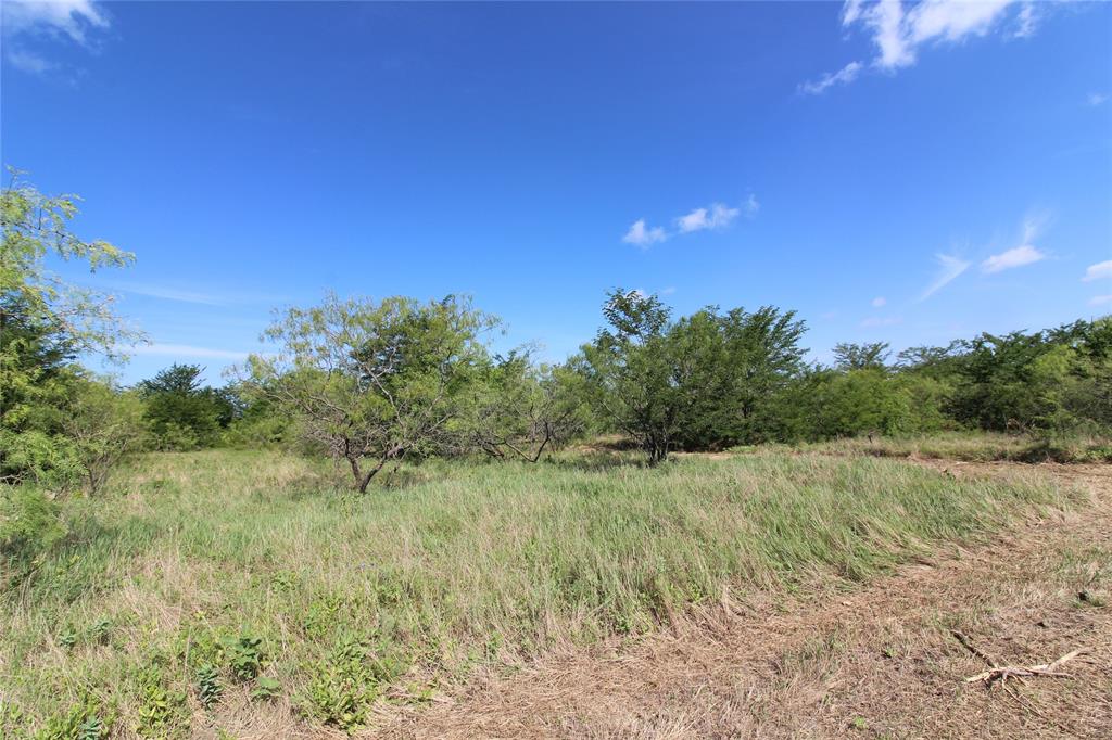 DAVID F WILLIAMS - Land