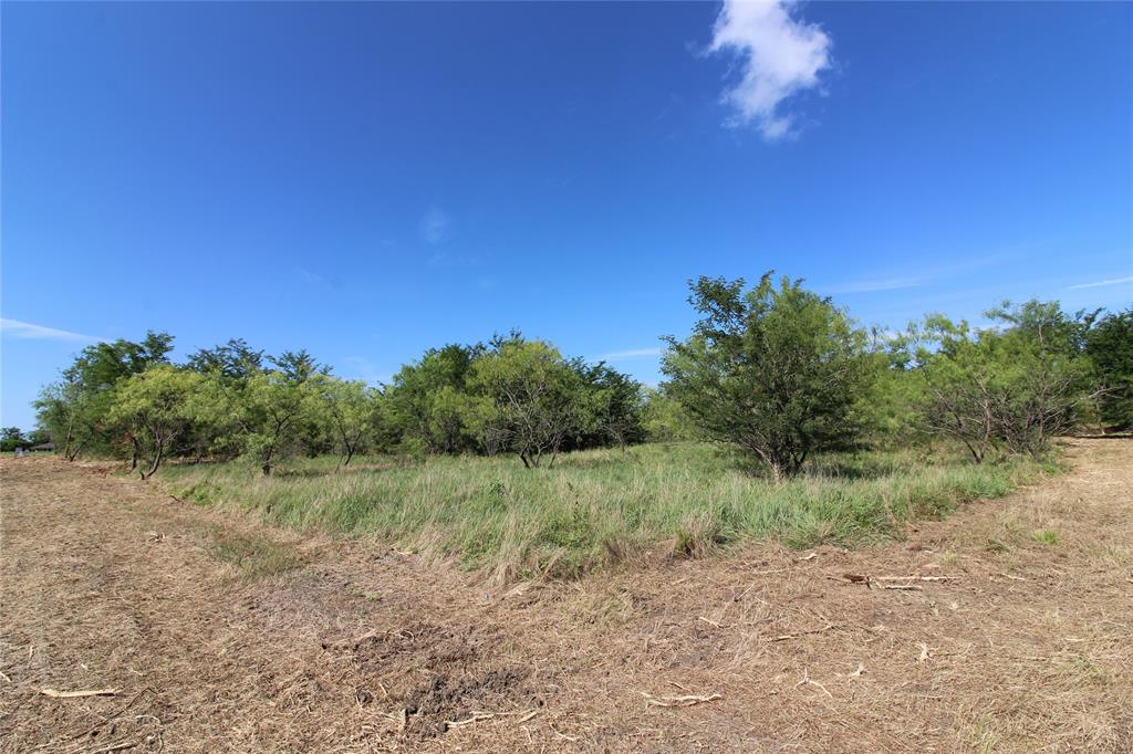 DAVID F WILLIAMS - Land