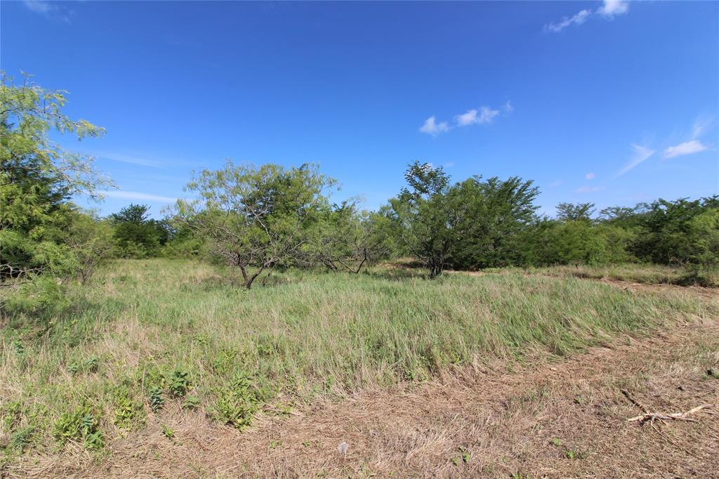 DAVID F WILLIAMS - Land