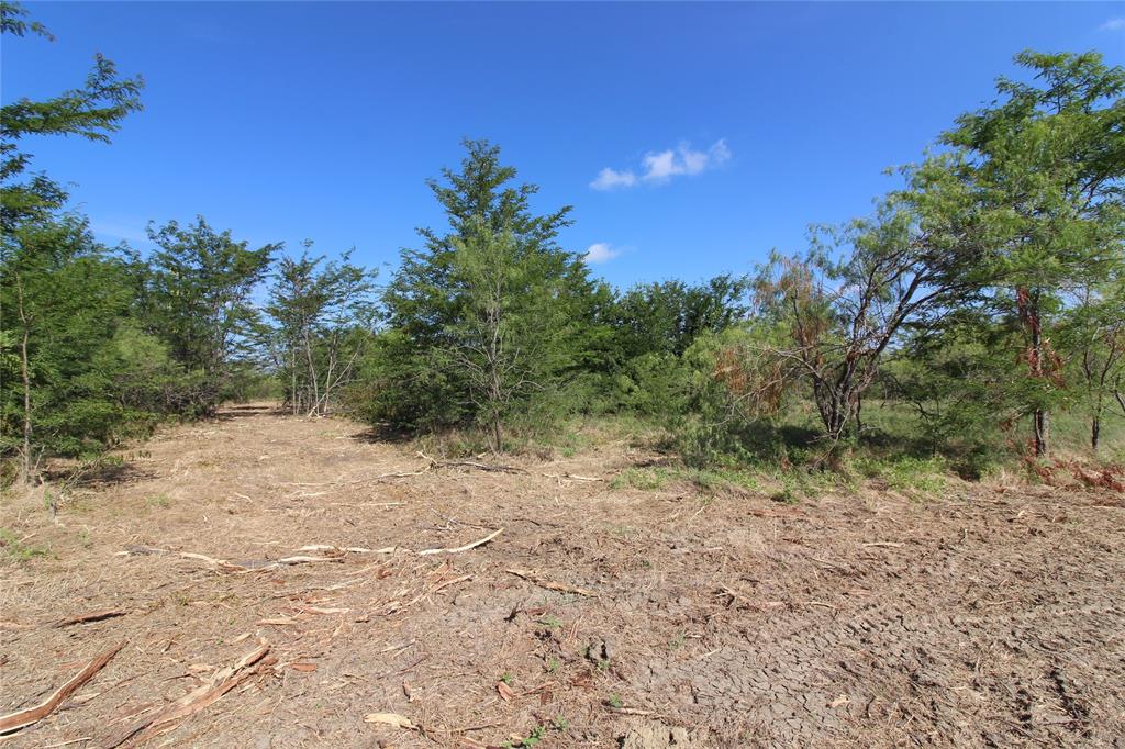 DAVID F WILLIAMS - Land