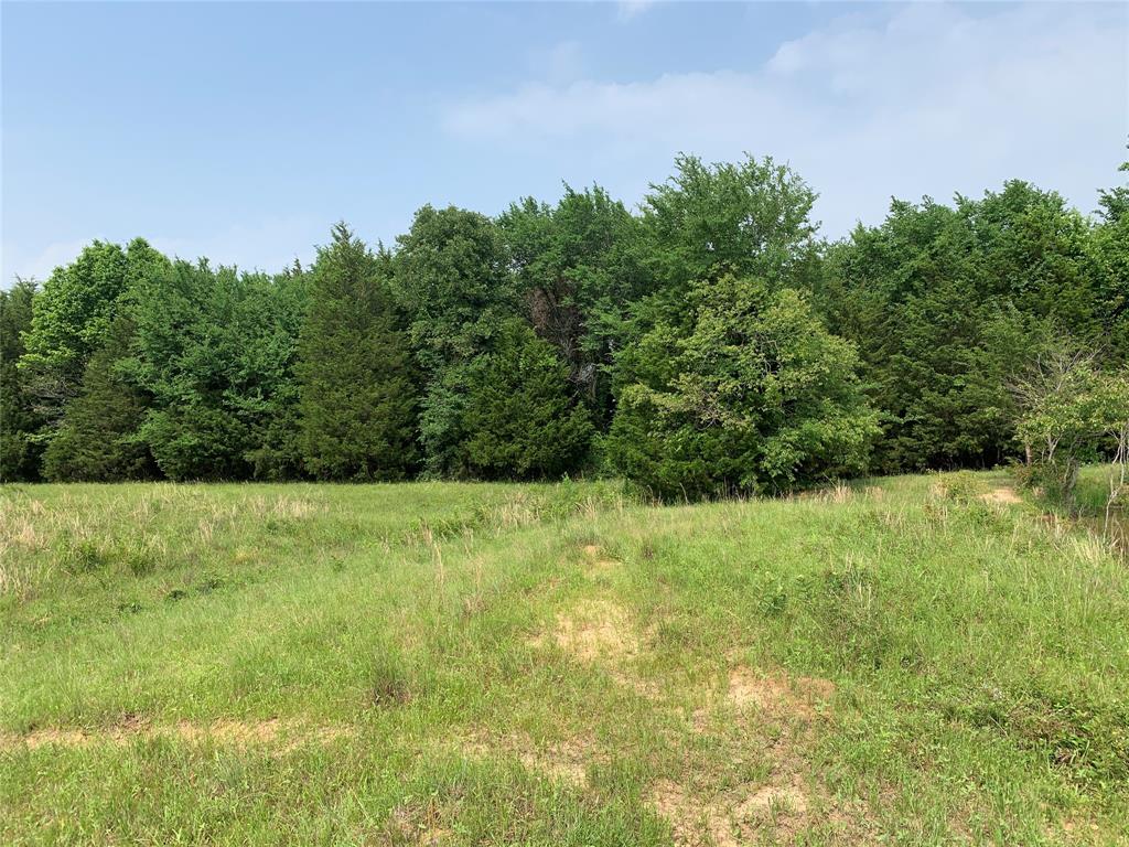 Phillip Mason Survey, A-502 - Land