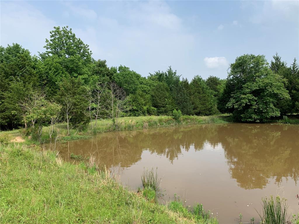 Phillip Mason Survey, A-502 - Land