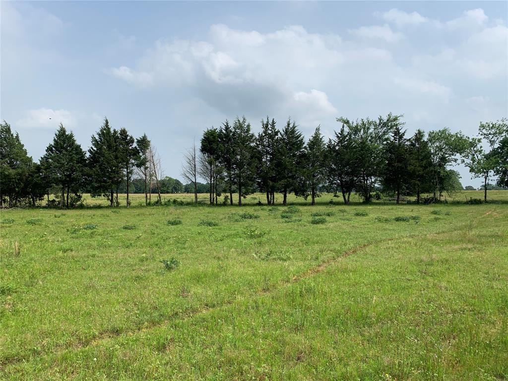 Phillip Mason Survey, A-502 - Land