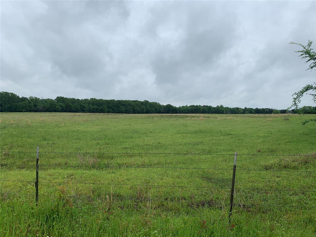 Phillip Mason Survey, A-502 - Land