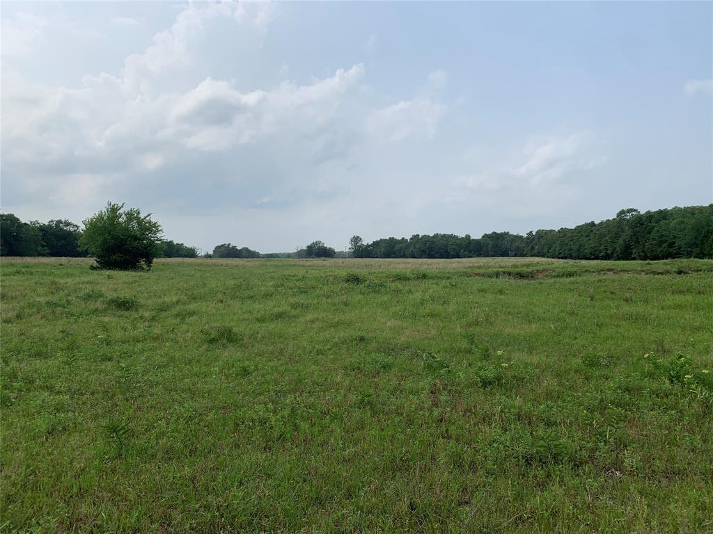 Phillip Mason Survey, A-502 - Land